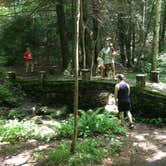Review photo of Elkmont Campground — Great Smoky Mountains National Park by G G., May 1, 2018