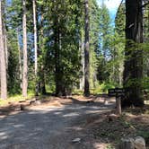 Review photo of Wenatchee National Forest Wish Poosh Campground by Robbie B., August 17, 2020