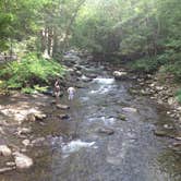 Review photo of Elkmont Campground — Great Smoky Mountains National Park by G G., May 1, 2018
