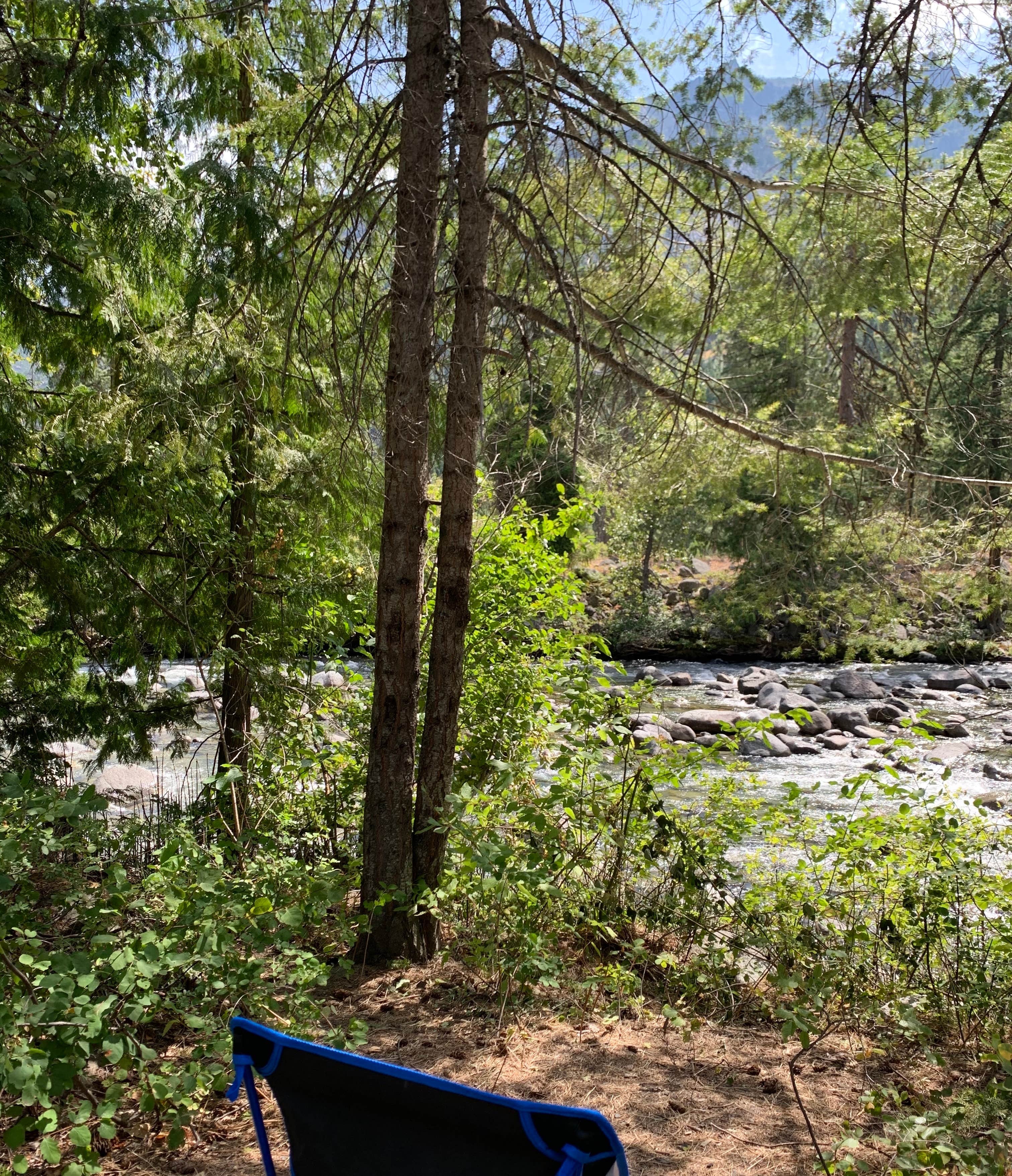 Camper-submitted photo at Eightmile Campground near Leavenworth, WA