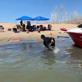 Review photo of Point Campground — John Martin Reservoir State Park by Sarah G., August 17, 2020