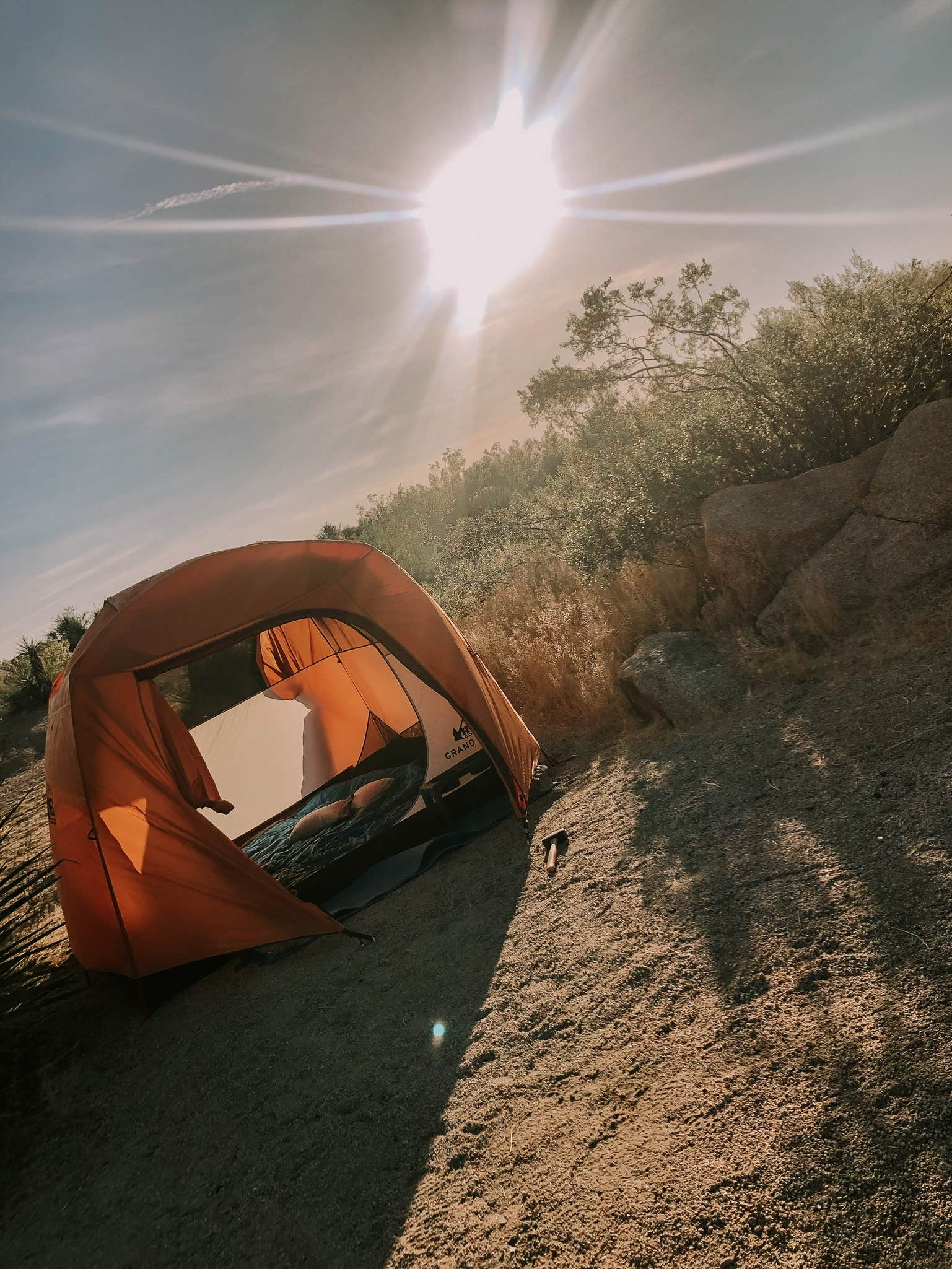 Connor W.'s photo at Jumbo Rocks Campground — Joshua Tree National Park near Joshua Tree National Park