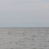 Review photo of Dunewood Campground — Indiana Dunes National Park by Holly  M., July 5, 2016