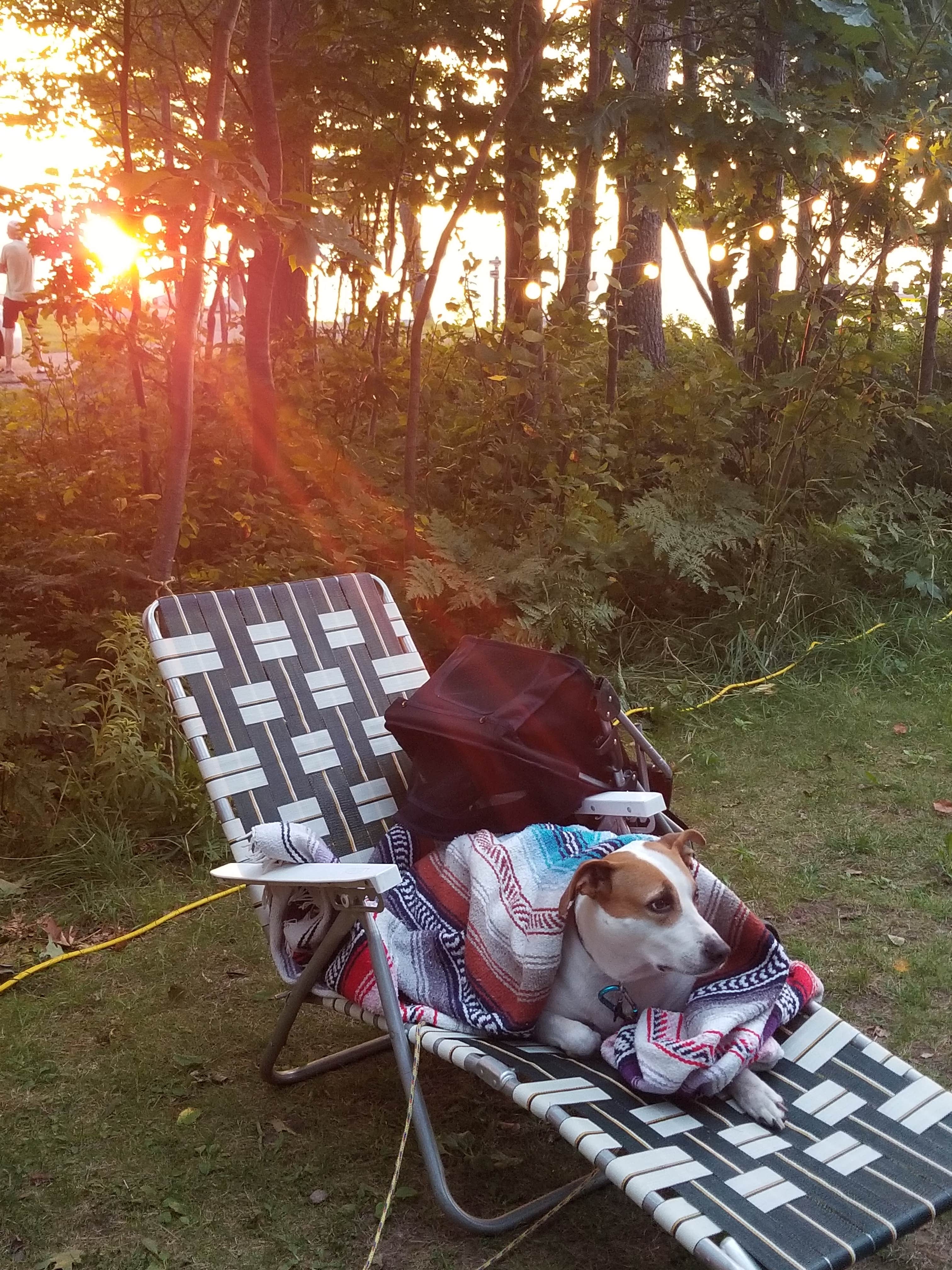 Camper-submitted photo at Welcome Woods Family Campground near Caledonia, MI