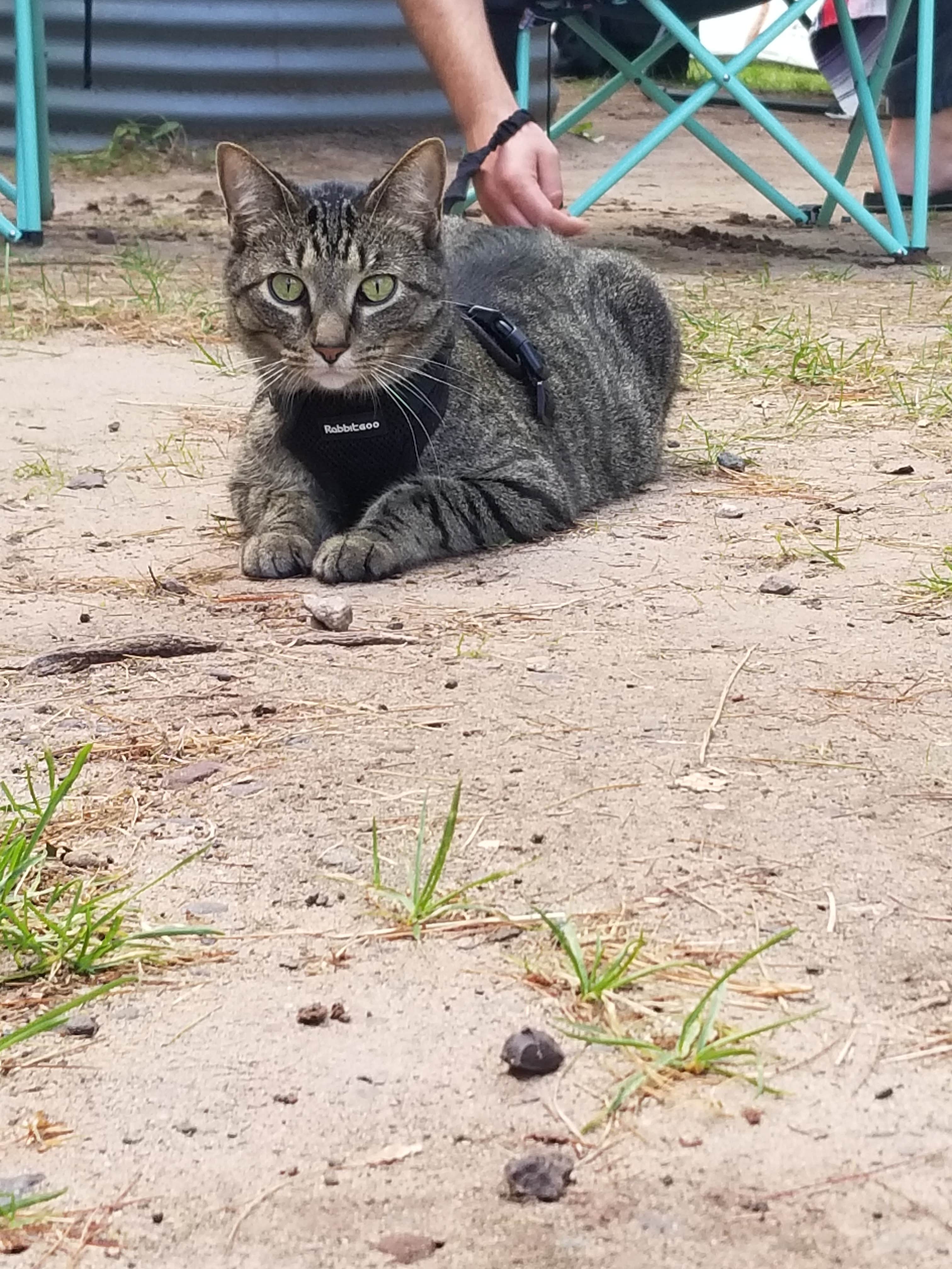 Camper-submitted photo at Welcome Woods Family Campground near Caledonia, MI