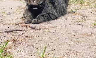 Lydia T.'s photo of camping with pets at Welcome Woods Family Campground near Grand Rapids, MI