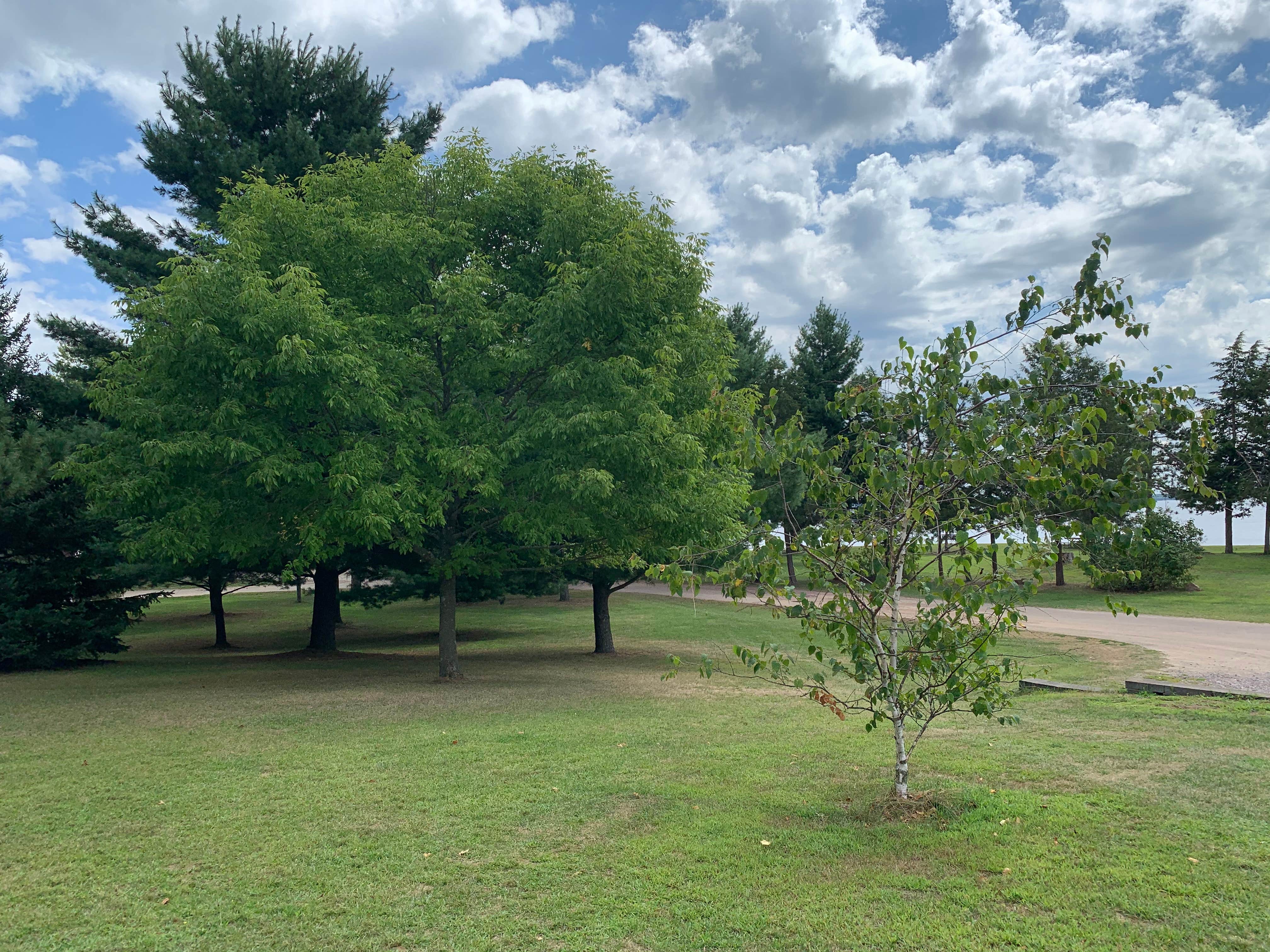 Camper-submitted photo at Wilderness Park (Juneau County) near Wisconsin Rapids, WI