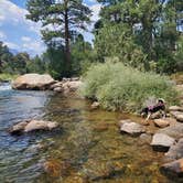 Review photo of Elephant Rock Campground by Katie H., August 17, 2020