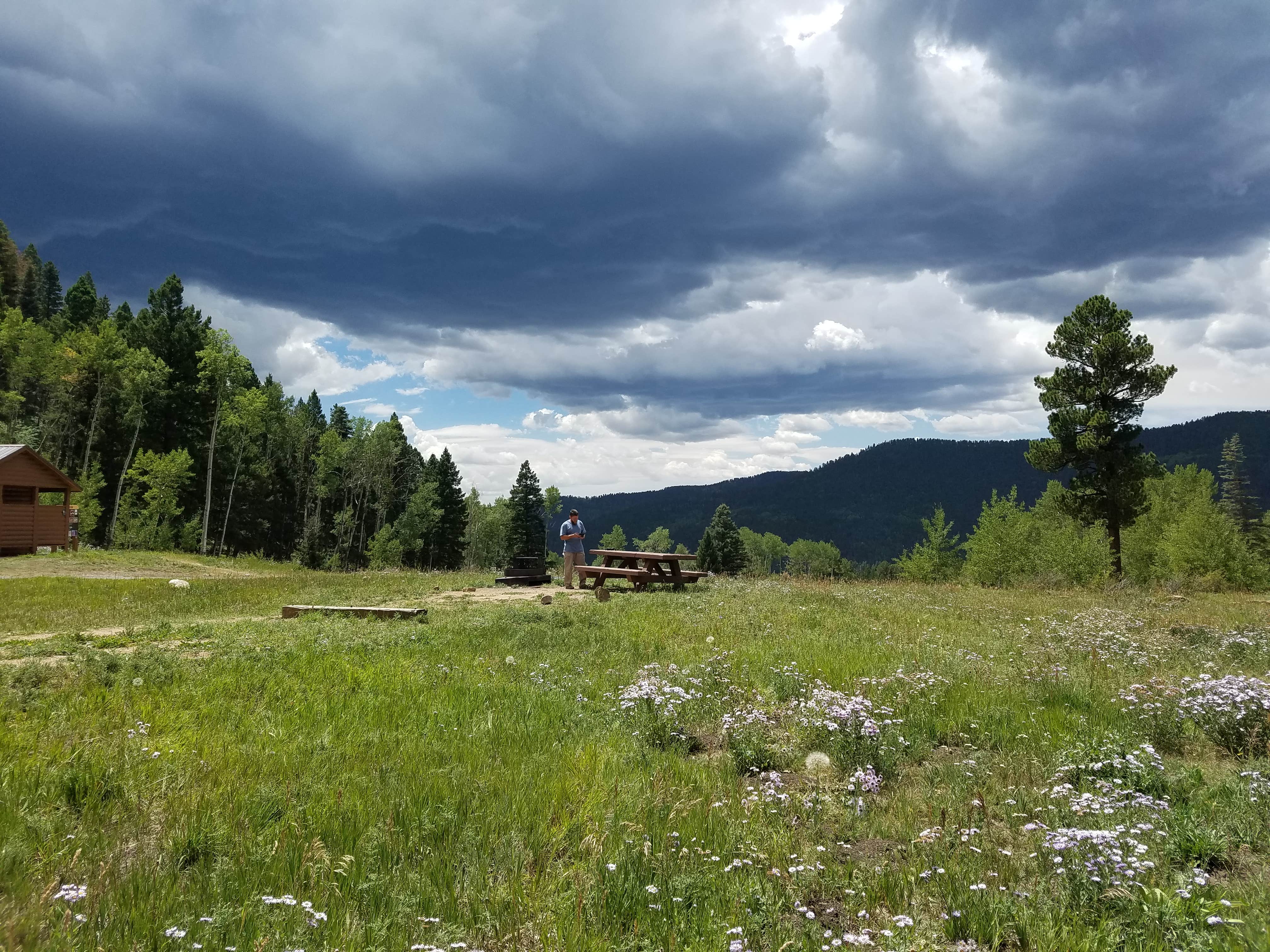 Camper-submitted photo at Jack's Creek Campground near Rociada, NM