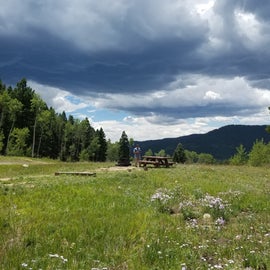 Meadows and aspens inside the campground