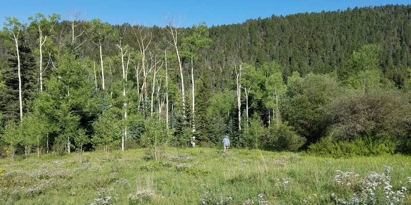 Camper submitted image from Jack's Creek Campground