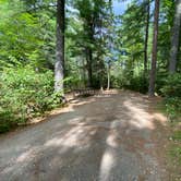 Review photo of Bear Head Lake State Park Campground by Stephanie K., August 17, 2020