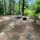 Review photo of Bear Head Lake State Park Campground by Stephanie K., August 17, 2020