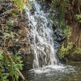 Review photo of Elk Prairie Campground — Prairie Creek Redwoods State Park by MarinMaverick , August 17, 2020