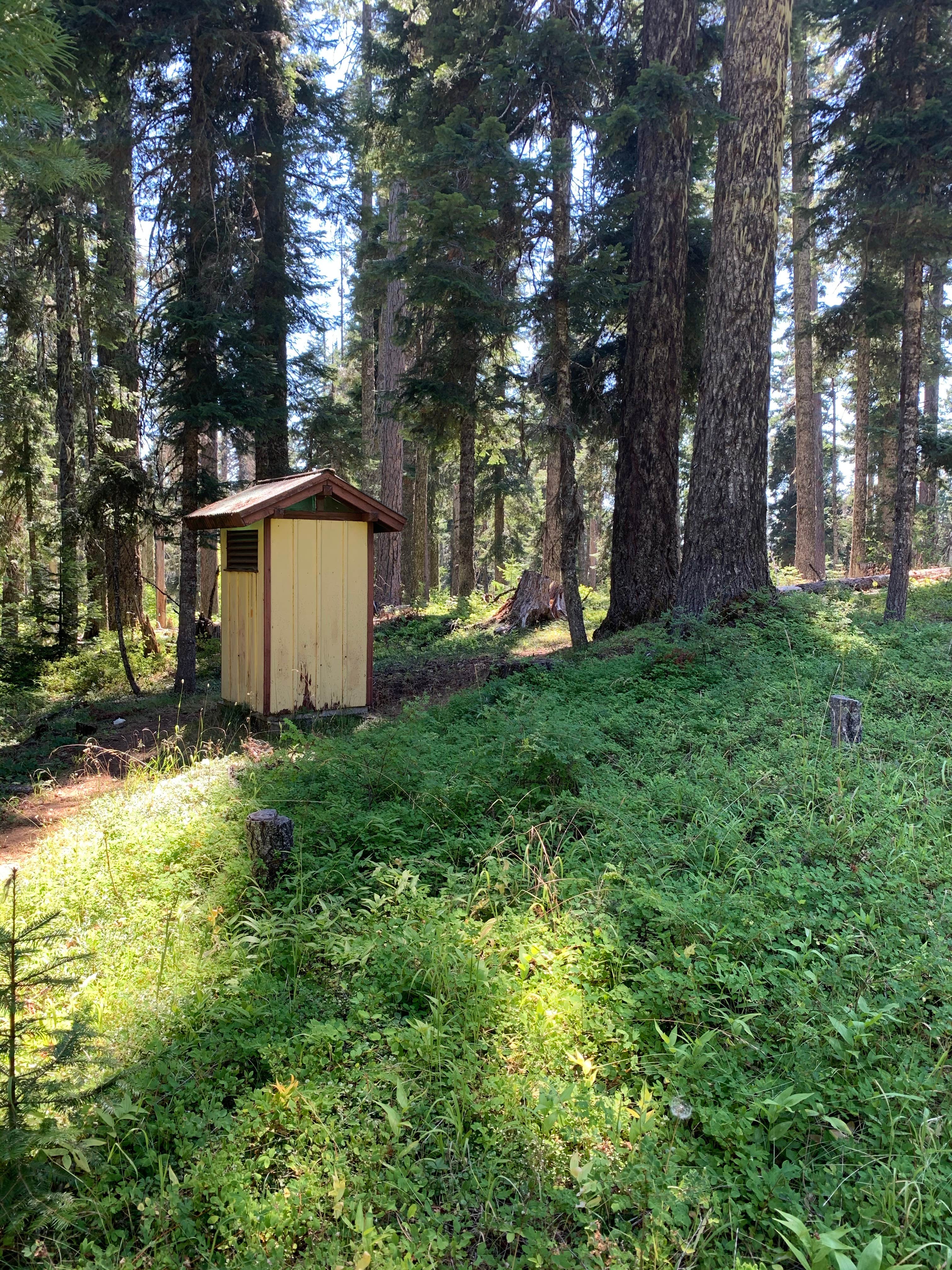 Camper-submitted photo at Wicky Shelter Campground near John Day Lock and Dam, Lake Umatilla