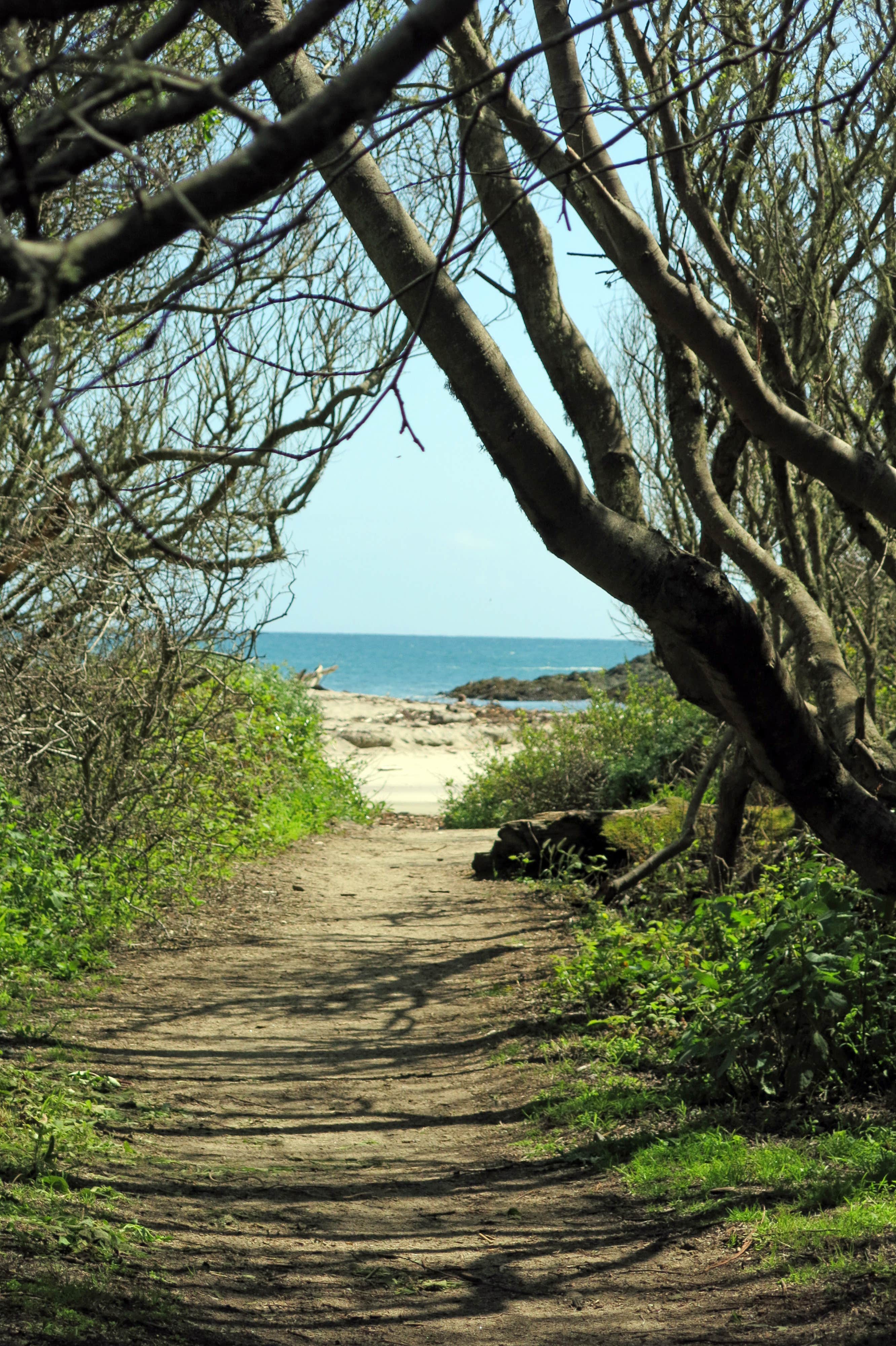 Camper submitted image from Andrew Molera State Park Trail Camp - 5