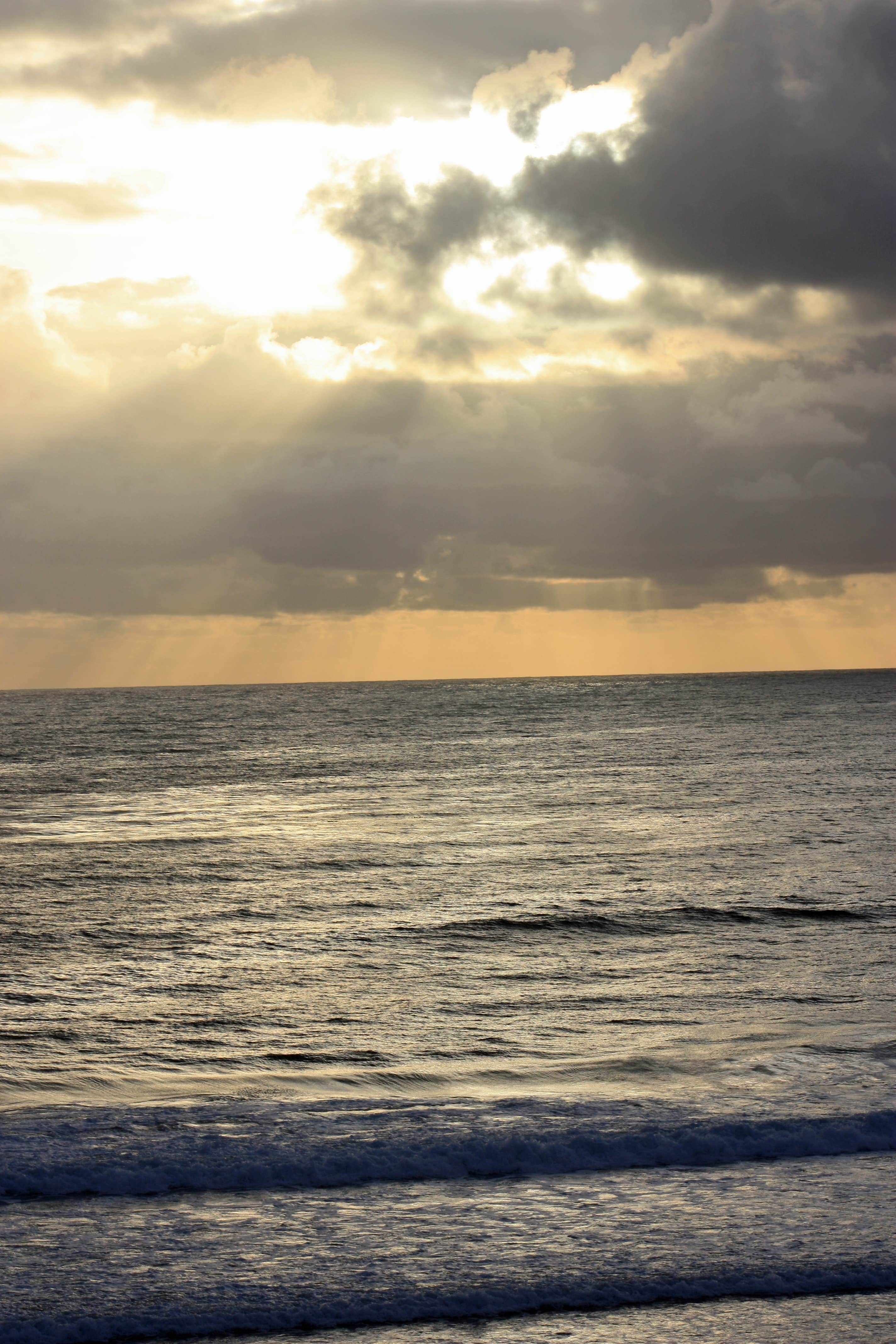 Camper-submitted photo at Andrew Molera State Park Campground near Fort Hunter Liggett, CA