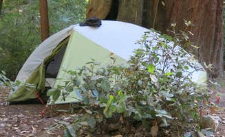 MarinMaverick's photo at Lower Blooms Creek — Big Basin Redwoods State Park — CAMPGROUND CLOSED near Bonny Doon, CA