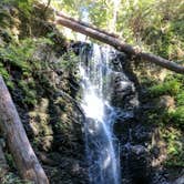 Review photo of Big Basin Redwoods State Park — Big Basin Redwoods State Park - CAMPGROUND CLOSED by MarinMaverick , August 17, 2020