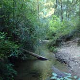 Review photo of Lower Blooms Creek — Big Basin Redwoods State Park — CAMPGROUND CLOSED by MarinMaverick , August 17, 2020