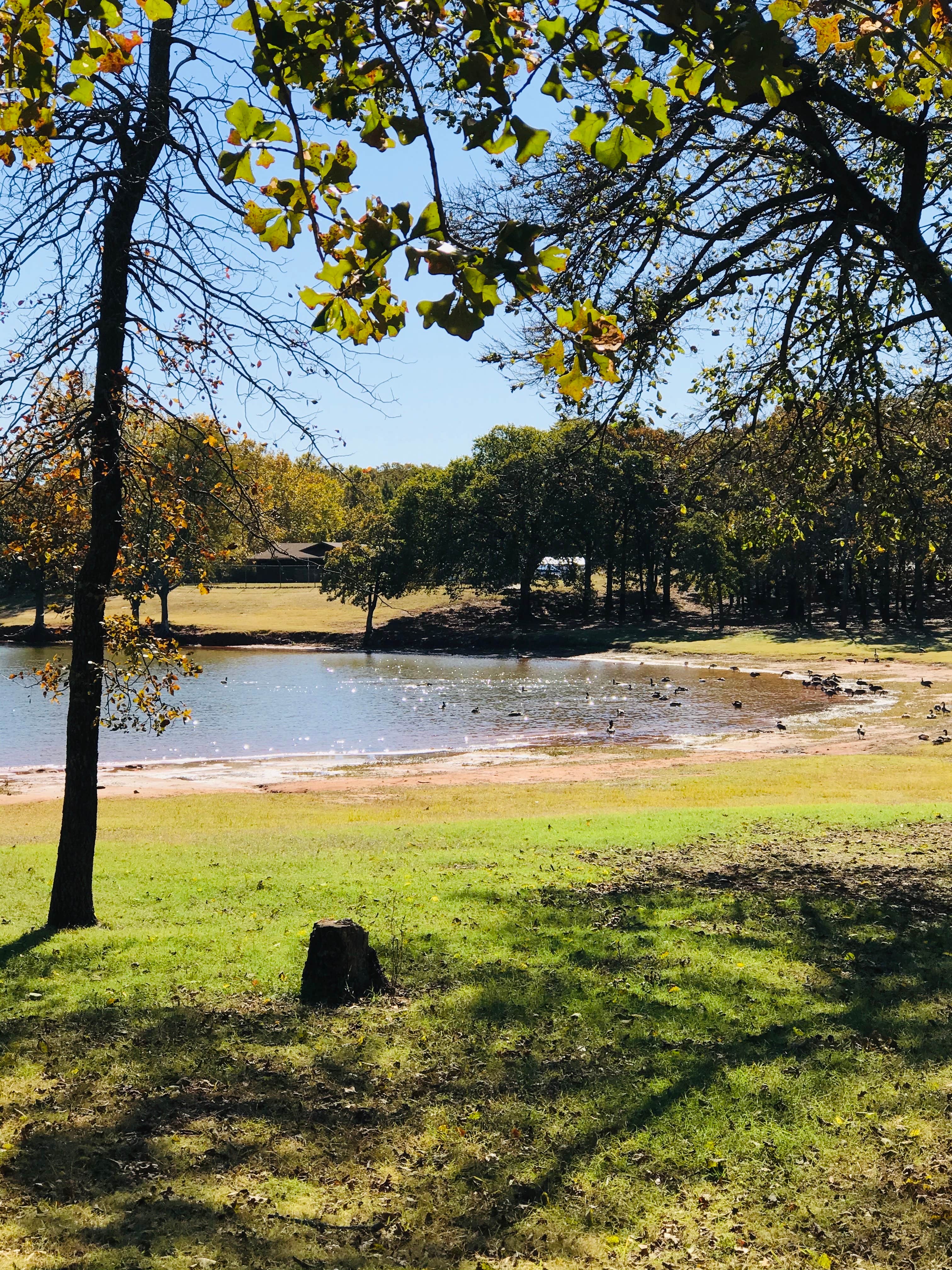 Camper submitted image from South Dam - Lake Thunderbird State Park - 4