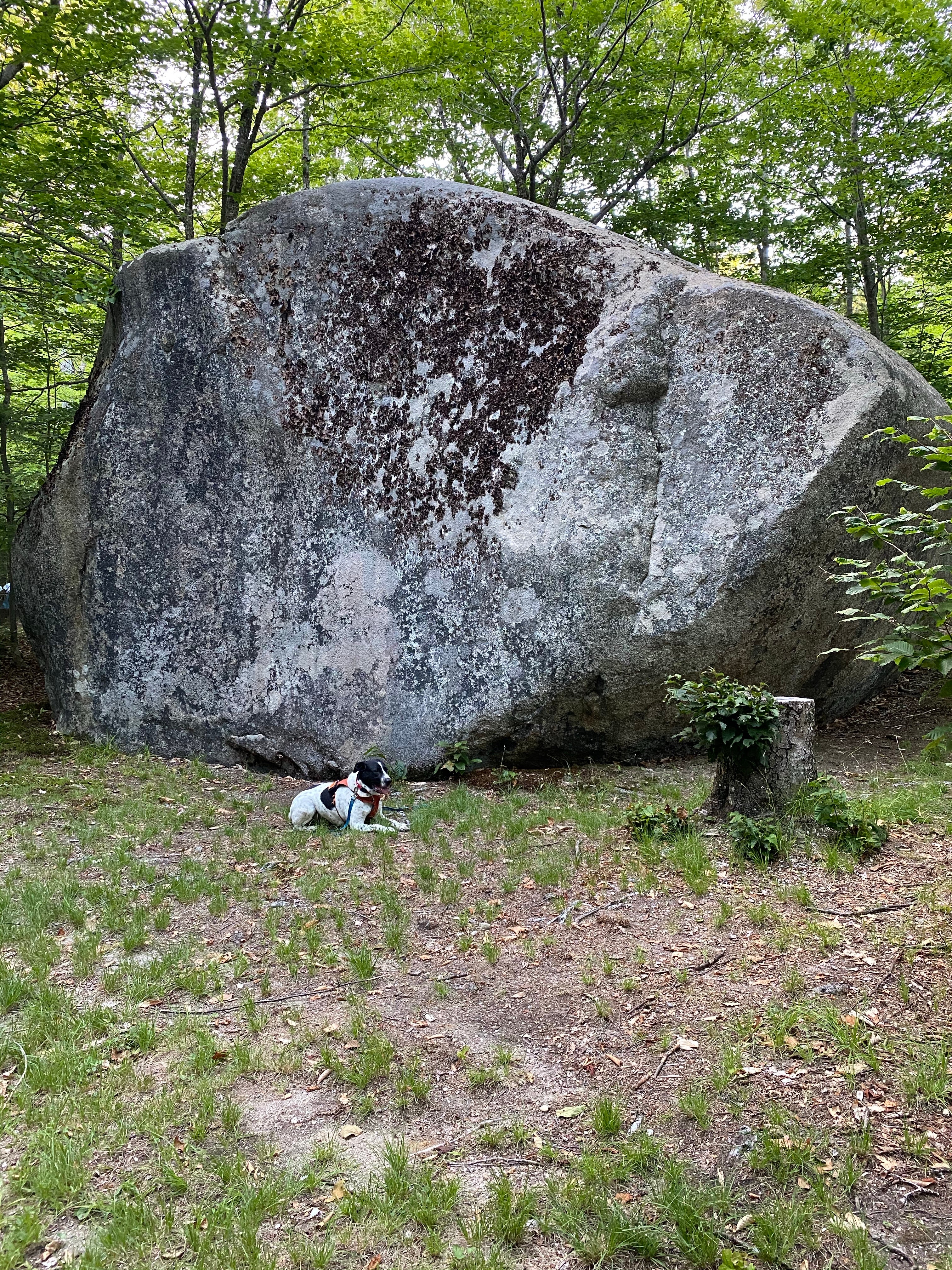 The big rock