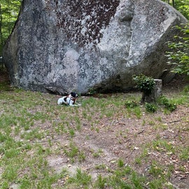 The big rock