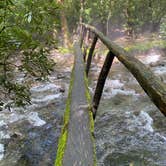 Review photo of Smokemont Campground — Great Smoky Mountains National Park by KB D., August 18, 2020