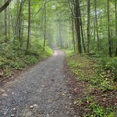 Review photo of Smokemont Campground — Great Smoky Mountains National Park by KB D., August 18, 2020