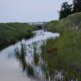 Review photo of Dunewood Campground — Indiana Dunes National Park by Holly  M., July 5, 2016