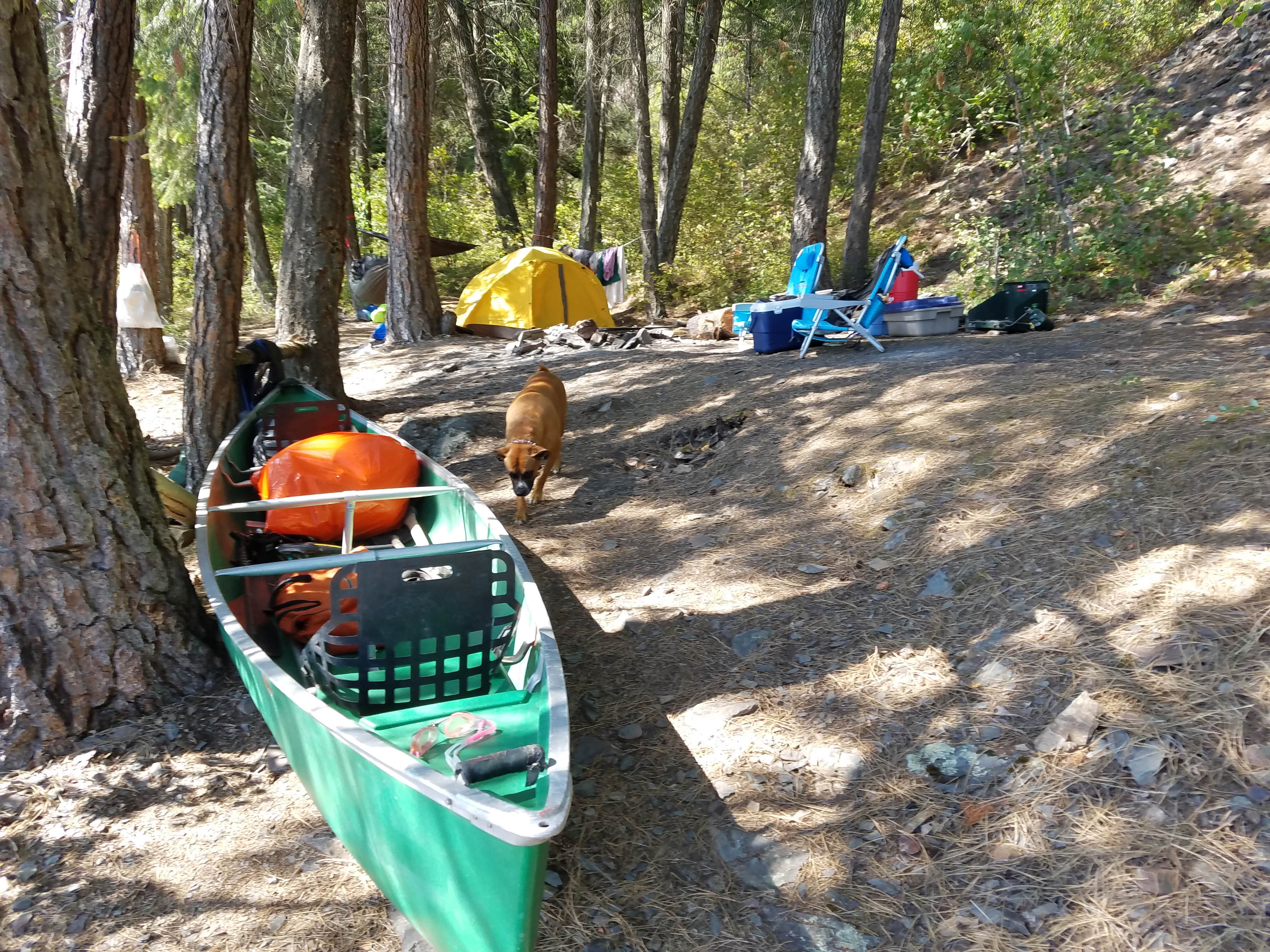 Camper-submitted photo at Green Bay Campground - TEMPORARILY CLOSED 2024 near Cocolalla, ID