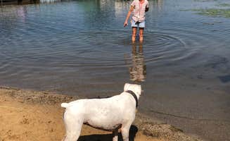 Lisa D.'s photo of camping with pets at Gateway Park Campground near Angola, IN