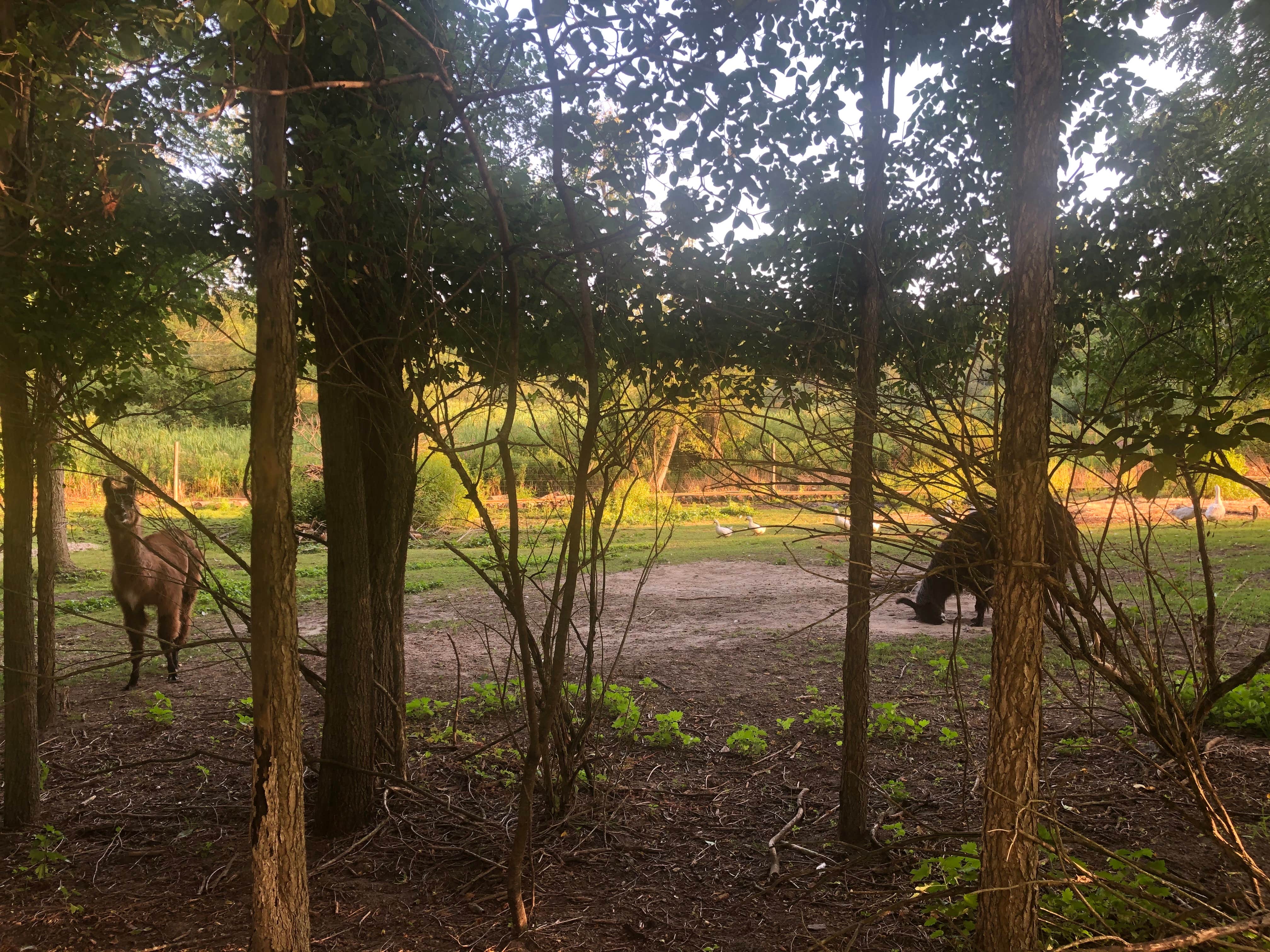 Camper-submitted photo at Gateway Park Campground near Fayette, OH