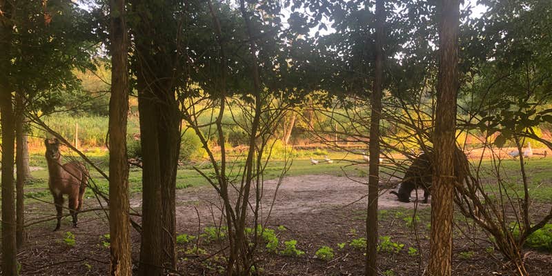 Camper submitted image from Gateway Park Campground