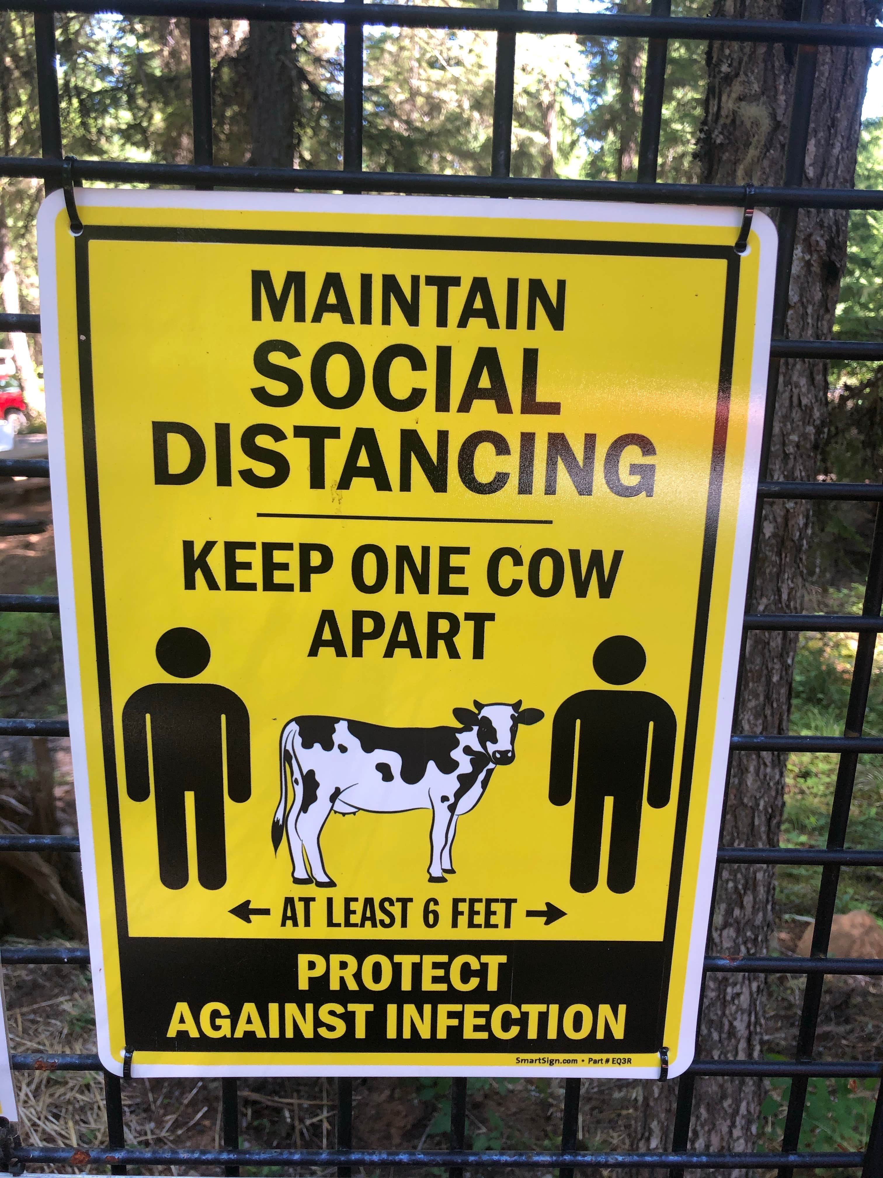 Animals