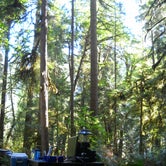 Review photo of Willamette National Forest Black Canyon Campground by Denise  D., August 18, 2020