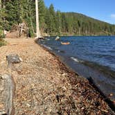 Review photo of Fallen Leaf Campground - South Lake Tahoe by Erin W., August 18, 2020