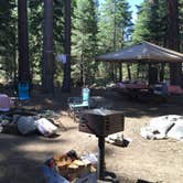 Review photo of Fallen Leaf Campground - South Lake Tahoe by Erin W., August 18, 2020