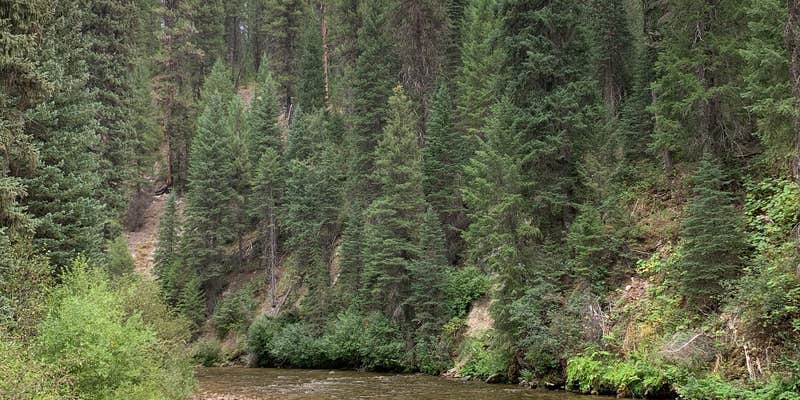 Camper submitted image from Boiling Springs Campground