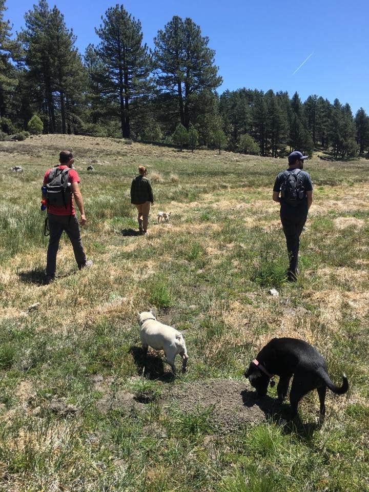 Camper submitted image from El Prado Group - [CLOSED] - 5