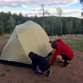 Review photo of Mueller State Park Campground by Denise  D., August 18, 2020