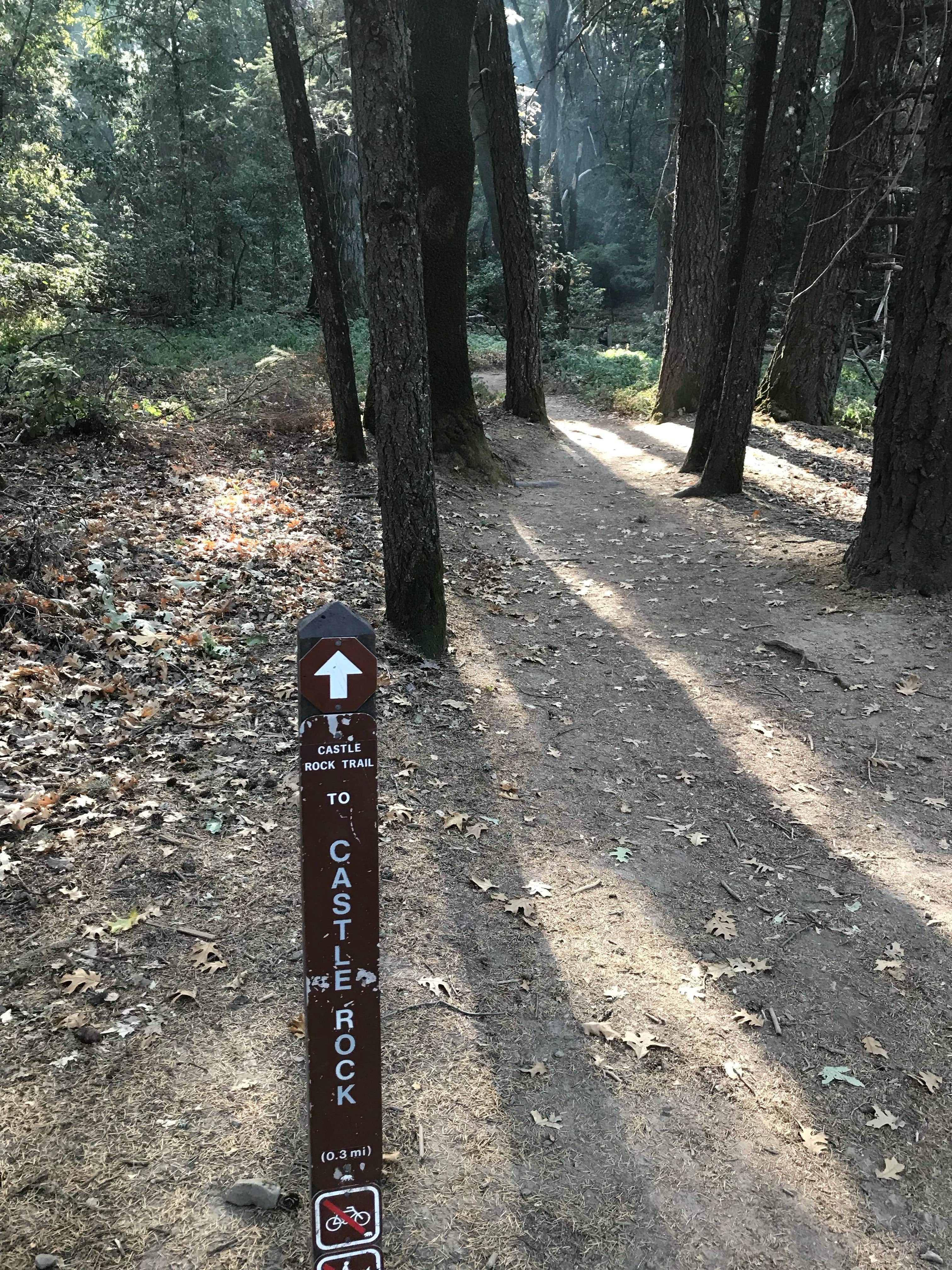 Castle Rock Trail Camp Castle Rock State Park Los Gatos CA