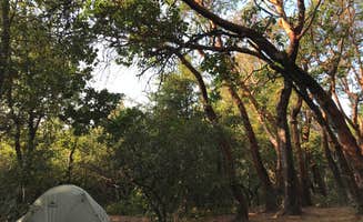 Esther Y.'s photo of tent camping at Castle Rock Trail Camp — Castle Rock State Park near Saratoga, CA
