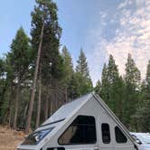 Review photo of Sequoia National Forest Coy Flat Campground by Sarah A., August 18, 2020