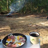 Review photo of Parvin State Park Campground by Matthew M., August 18, 2020