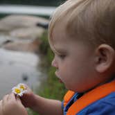 Review photo of Black Rock Mountain State Park Campground by Amy Jo W., August 18, 2020