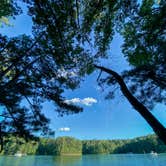 Review photo of Red Top Mountain State Park Campground by Amy Jo W., August 18, 2020