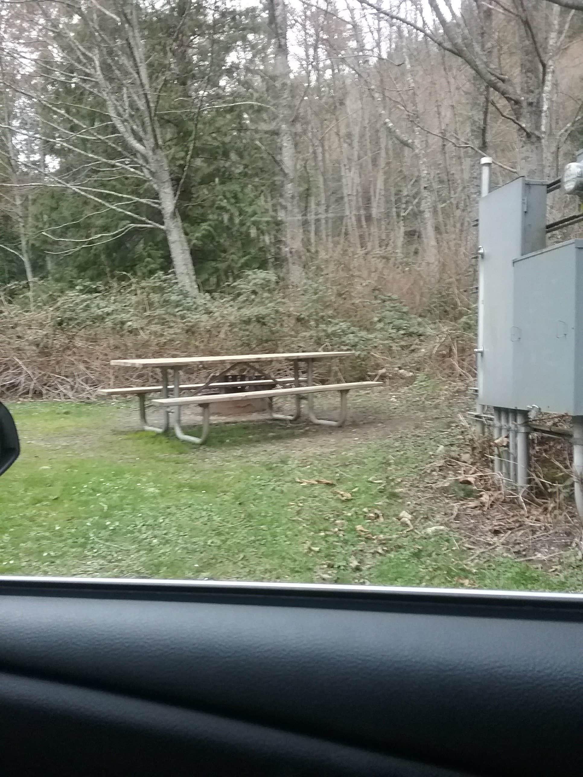 My grassy campsite directly behind the shower/bathrooms.