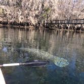 Review photo of Manatee Springs State Park Campground by Brenda S., May 1, 2018