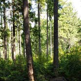 Review photo of Scenic Beach State Park Campground by Beth N., August 18, 2020